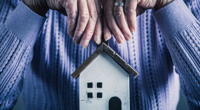 seniors dementia causes